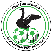 Western Springs AFC U23 Στατιστικά