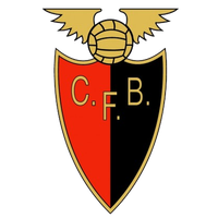 Fut. Benfica Women Badge