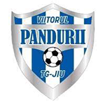 ACS Viitorul Pandurii Târgu Jiu II logo