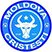 CS Moldova Cristești Logo