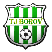 TJ Družstevník Borov Logo