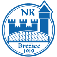 NK Brezice 1919 U19