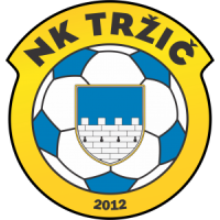 Tržič 2012