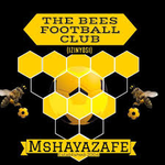 The Bees FC