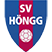 SV Höngg Women Stats