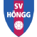 SV Höngg Stats