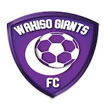 Wakiso Giants FC