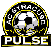 AC Syracuse Pulse Logo