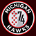 Michigan Hawks SC Stats