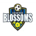 San Antonio Blossoms FC Stats