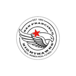 San Francisco Nighthawks Badge