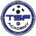 TSF Academy FC New Jersey Logo