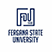 Fergana State University Logo