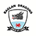 Baglan Dragons FC Статистика