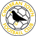 Cwmbran Town AFC Stats