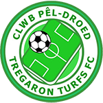 Tregaron Turfs FC Logo