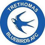 Trethomas Bluebirds FC