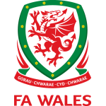 Wales National Team Stats