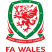 Wales National Team Logo